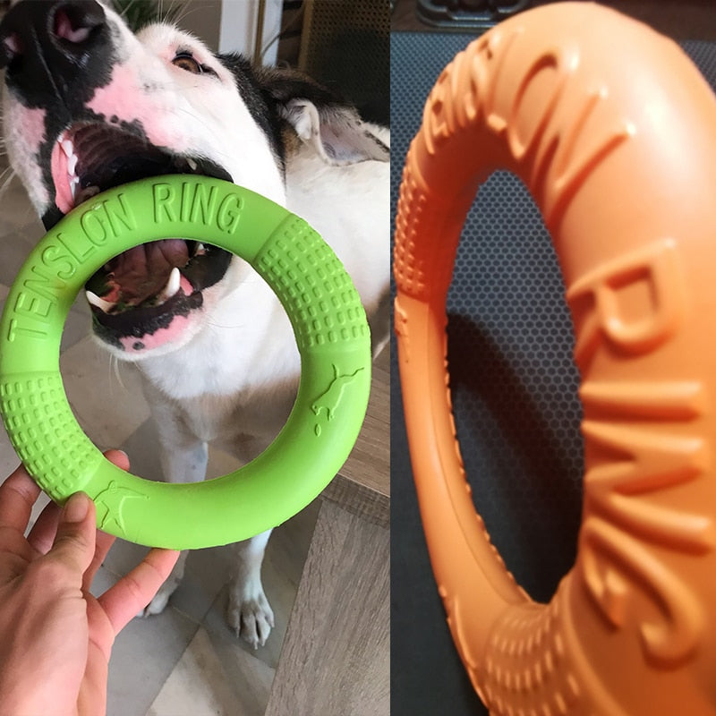 Interaktivní hračka pro psy