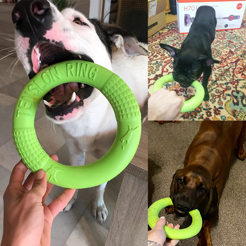 Interaktivní hračka pro psy