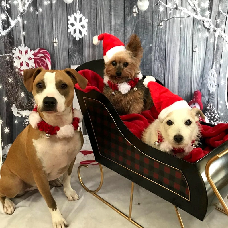 Vánoční čepička pro psy